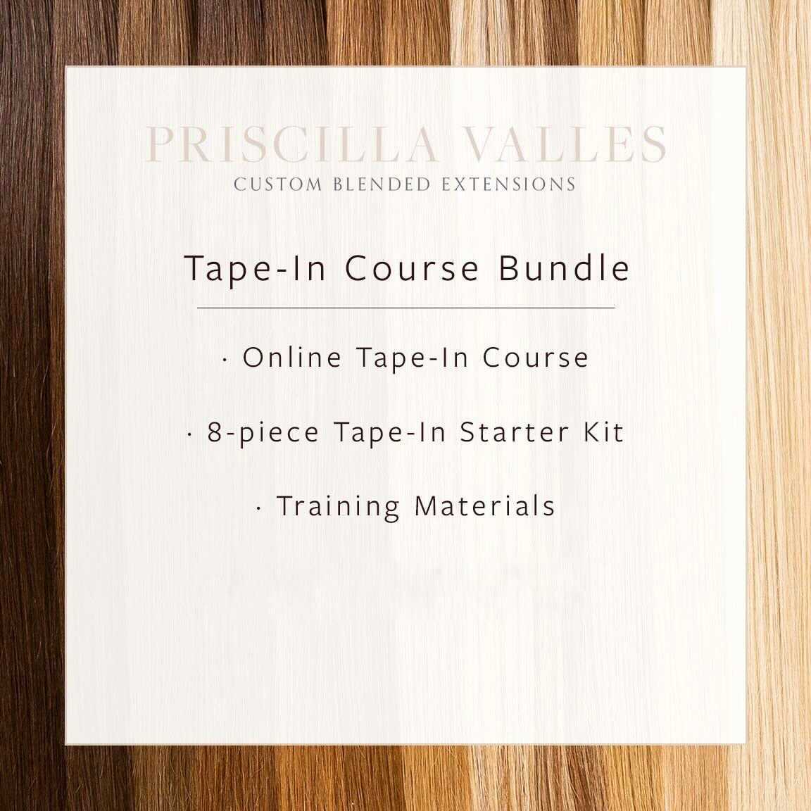 Hair Extensions Starter Kit Includes Online Training